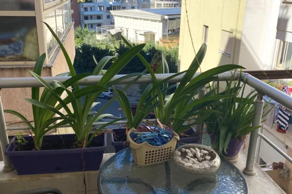 Shtepi ne shitje Apartament ne Tirane, 2+1, Mobilimi E mobiluar, Pagesa 160,000  Euro.