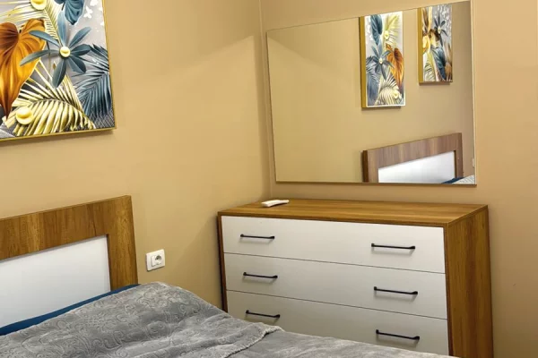 Shtepi me qera Apartament ne Tirane, 1+1, Mobilimi E mobiluar, Pagesa 500  Euro.