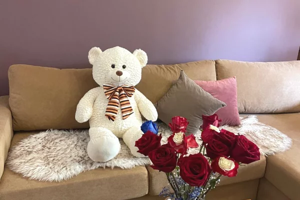 Apartment for rent in Tirana 1+1, Furnished