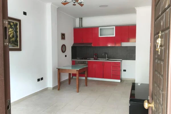 Shtepi me qera Penthose(kati i fundit panoramik) ne Tirane, 1+1, Mobilimi E mobiluar, Pagesa 280  Euro.