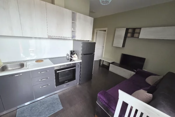 Shtepi me qera Apartament ne Tirane, 1+1, Mobilimi Pjeserisht e mobiluar, Pagesa 450  Euro.