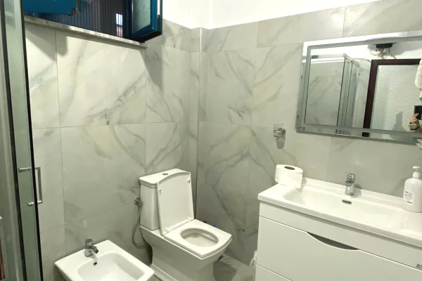 Shtepi me qera Apartament ne Tirane, 1+1, Mobilimi E mobiluar, Pagesa 400  Euro.