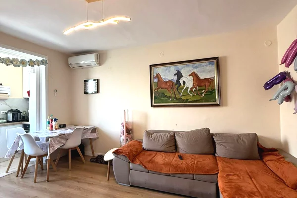 Shtepi ne shitje Apartament ne Tirane, 1+1, Mobilimi E mobiluar, Pagesa 12,000,000  Leke.