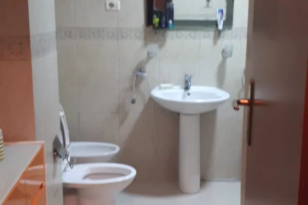 Shtepi me qera Apartament ne Tirane, 1+1, Mobilimi E mobiluar, Pagesa 60,000  Leke.