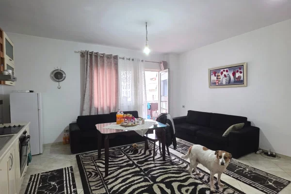 Shtepi ne shitje Apartament ne Tirane, 2+1, Mobilimi E mobiluar, Pagesa 180,000  Euro.