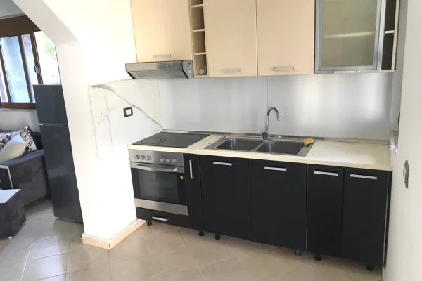 Shtepi me qera Apartament ne Tirane, 1+1, Mobilimi E mobiluar, Pagesa 35,000  Leke.