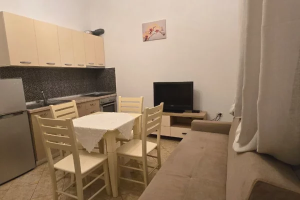 Shtepi me qera Apartament ne Tirane, 1+1, Mobilimi E mobiluar, Pagesa 33,000  Leke.