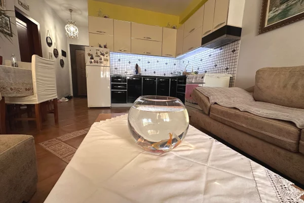 Shtepi me qera Apartament ne Tirane, 1+1, Mobilimi E mobiluar, Pagesa 43,000  Leke.