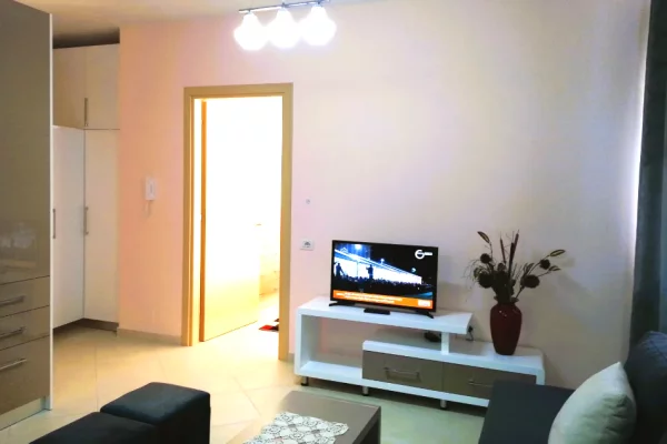 Shtepi me qera Apartament ne Tirane, 1+1, Mobilimi E mobiluar, Pagesa 500  Euro.
