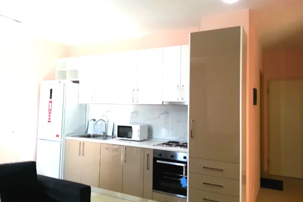 Shtepi me qera Apartament ne Tirane, 1+1, Mobilimi E mobiluar, Pagesa 500  Euro.