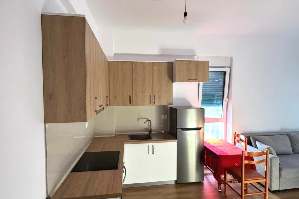 Shtepi me qera Apartament ne Tirane, 1+1, Mobilimi E mobiluar, Pagesa 40,000  Leke.