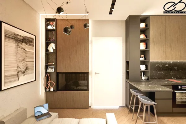 Shtepi ne shitje Apartament ne Tirane, 1+1, Mobilimi E mobiluar, Pagesa 67,000  Euro.