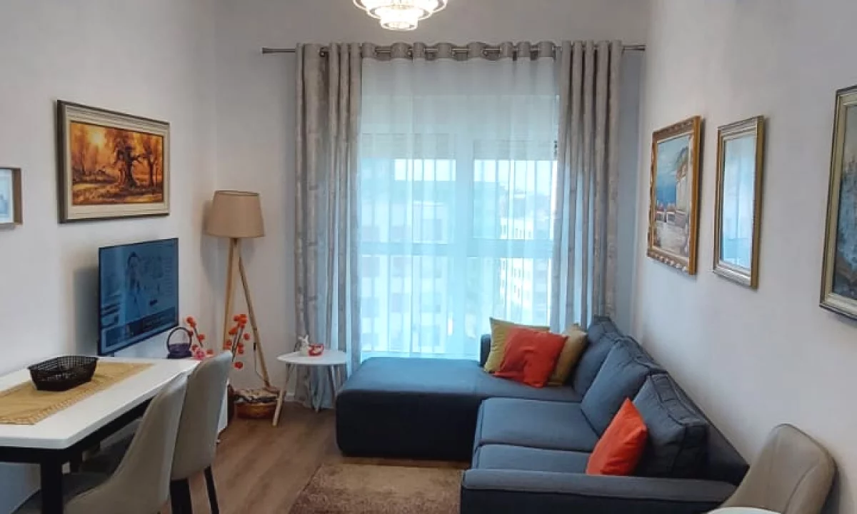 Shtepi ne shitje Apartament ne Tirane, 1+1, Mobilimi E mobiluar, Pagesa 124,000  Euro.