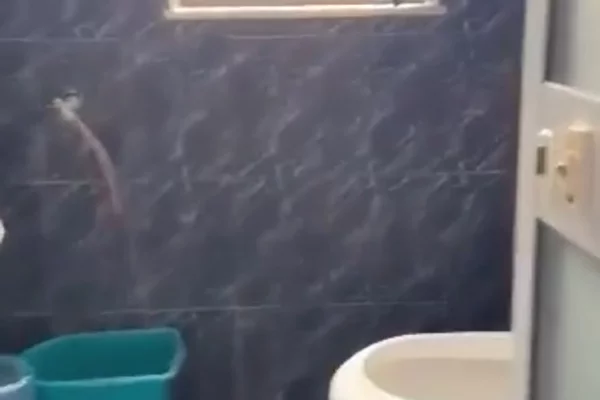 Shtepi ne shitje Apartament ne Tirane, 2+1, Mobilimi E mobiluar, Pagesa 130,000,000  Leke.