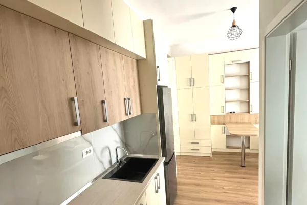 Shtepi me qera Apartament ne Tirane, 1+1, Mobilimi E mobiluar, Pagesa 450  Euro.
