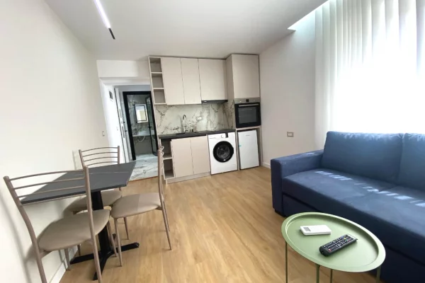 Shtepi ne shitje Apartament ne Tirane, 1+1, Mobilimi E mobiluar, Pagesa 133,000  Euro.