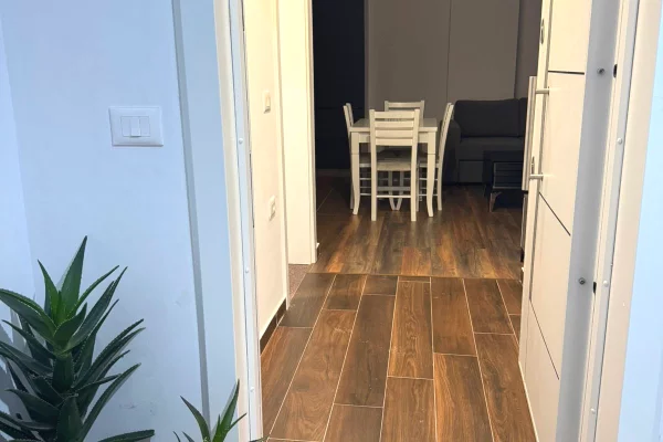 Shtepi ne shitje Apartament ne Tirane, 1+1, Mobilimi E mobiluar, Pagesa 92,000  Euro.