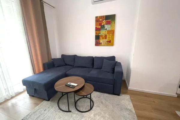 Shtepi ne shitje Apartament ne Tirane, 1+1, Mobilimi Pjeserisht e mobiluar, Pagesa 120,000  Euro.