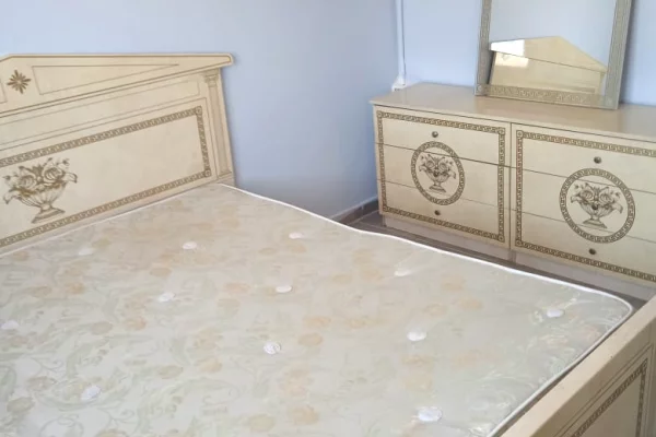 Shtepi ne shitje Apartament ne Tirane, 1+1, Mobilimi E mobiluar, Pagesa 9,000,000  Leke.