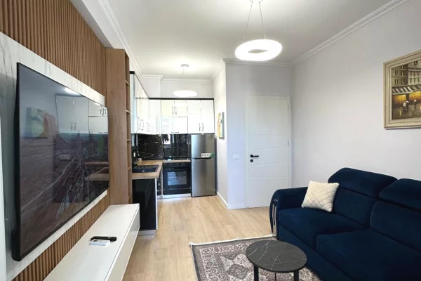 Shtepi ne shitje Apartament ne Tirane, 1+1, Mobilimi E mobiluar, Pagesa 12,700,000  Leke.