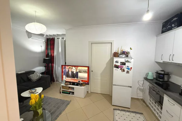 Shtepi ne shitje Apartament ne Tirane, 1+1, Mobilimi E mobiluar, Pagesa 120,000  Euro.