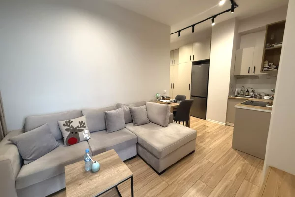 Shtepi ne shitje Apartament ne Tirane, 1+1, Mobilimi E mobiluar, Pagesa 8,500,000  Leke.