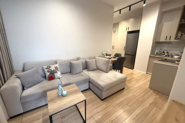 Shtepi ne shitje Apartament ne Tirane, 1+1, Mobilimi E mobiluar, Pagesa 8,500,000  Leke.