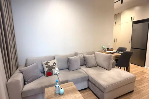 Shtepi ne shitje Apartament ne Tirane, 1+1, Mobilimi E mobiluar, Pagesa 8,200,000  Leke.
