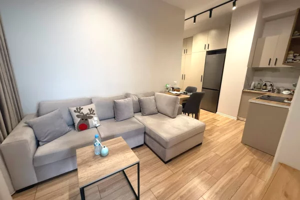 Shtepi ne shitje Apartament ne Tirane, 1+1, Mobilimi E mobiluar, Pagesa 8,200,000  Leke.