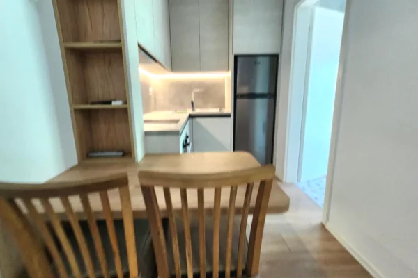 Shtepi ne shitje Apartament ne Tirane, Garsoniere, Mobilimi E mobiluar, Pagesa 63,999  Euro.