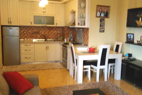 Shtepi ne shitje Apartament ne Tirane, 1+1, Mobilimi E mobiluar, Pagesa 125,000  Euro.