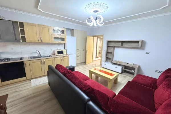 Shtepi ne shitje Apartament ne Tirane, 1+1, Mobilimi E mobiluar, Pagesa 114,000  Euro.