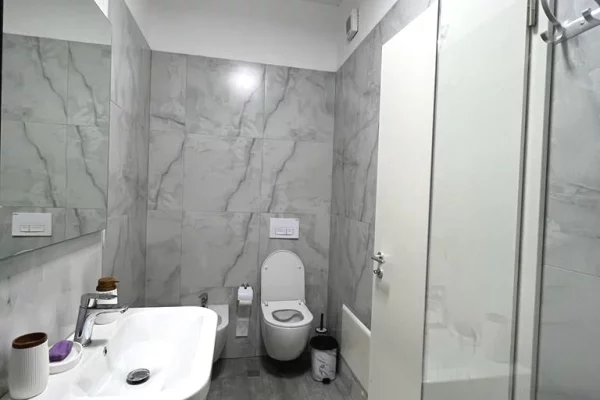 Shtepi me qera Apartament ne Tirane, 1+1, Mobilimi E mobiluar, Pagesa 650  Euro.