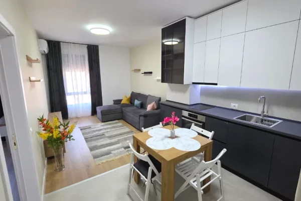 Shtepi me qera 1+1 ne Tirane - 550 Euro