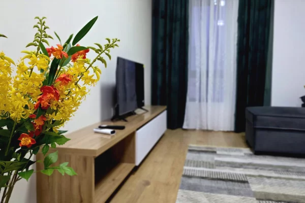 Shtepi me qera Apartament ne Tirane, 1+1, Mobilimi E mobiluar, Pagesa 550  Euro.