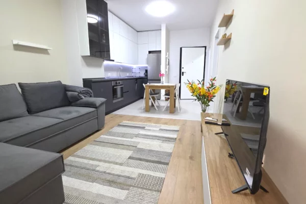 Shtepi me qera Apartament ne Tirane, 1+1, Mobilimi E mobiluar, Pagesa 550  Euro.