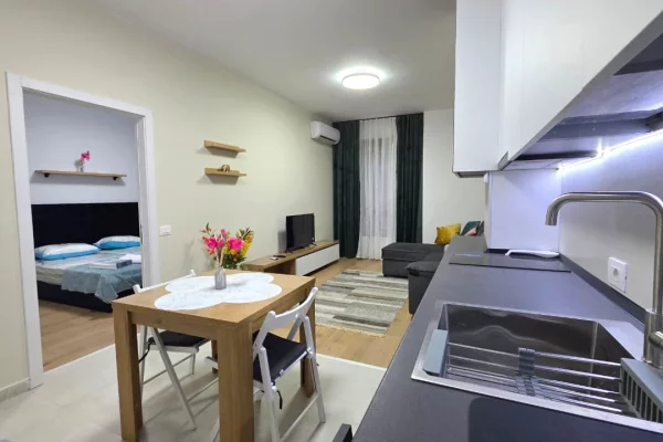 Shtepi me qera Apartament ne Tirane, 1+1, Mobilimi E mobiluar, Pagesa 550  Euro.