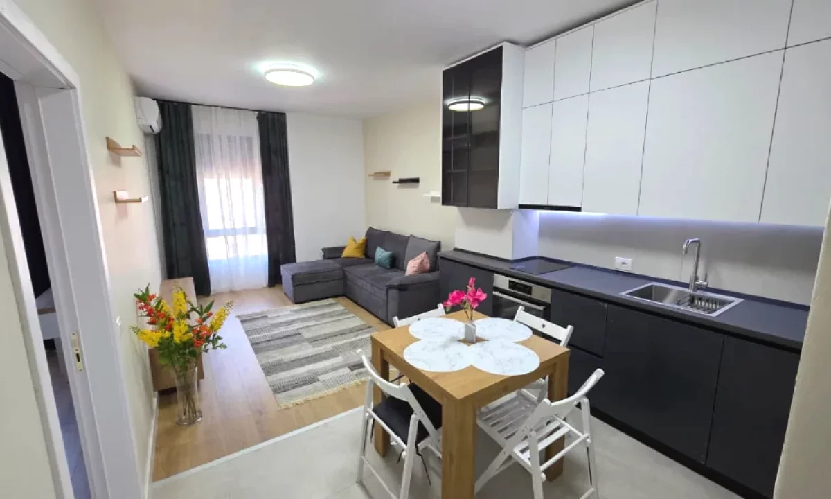 Shtepi me qera Apartament ne Tirane, 1+1, Mobilimi E mobiluar, Pagesa 550  Euro.
