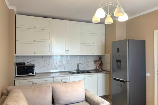 Shtepi me qera Apartament ne Tirane, 1+1, Mobilimi E mobiluar, Pagesa 60,000  Leke.