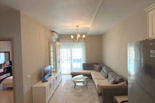 Shtepi ne shitje Apartament ne Tirane, 1+1, Mobilimi E mobiluar, Pagesa 120,000  Euro.