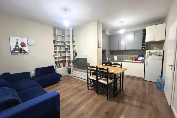 Shtepi ne shitje Apartament ne Tirane, 1+1, Mobilimi E mobiluar, Pagesa 9,900,000  Leke.
