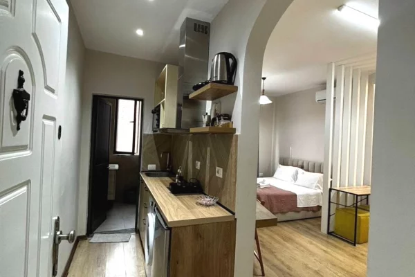 Shtepi ne shitje Apartament ne Tirane, Garsoniere, Mobilimi E mobiluar, Pagesa 110,000  Euro.