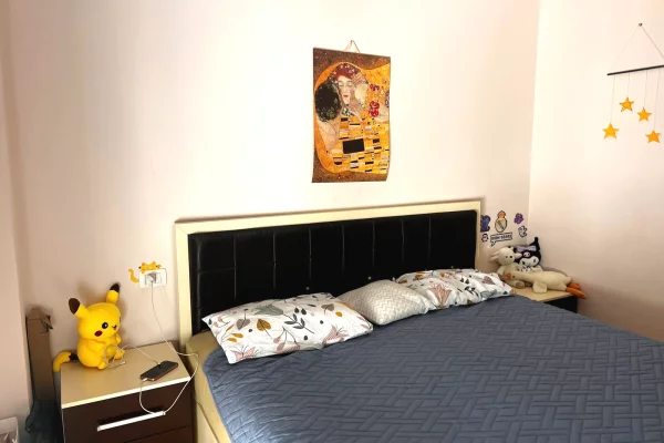 Shtepi ne shitje Apartament ne Tirane, 2+1, Mobilimi E mobiluar, Pagesa 235,000  Euro.