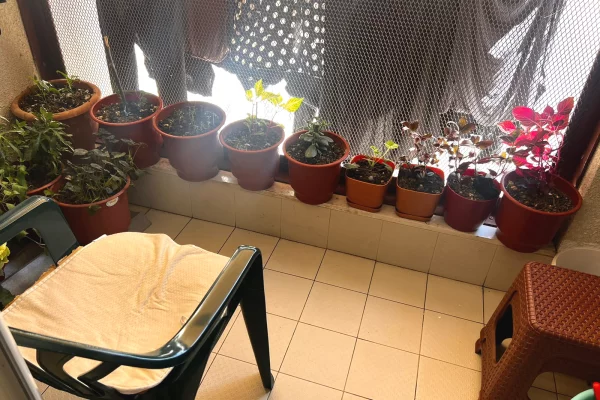 Shtepi ne shitje Apartament ne Tirane, 2+1, Mobilimi E mobiluar, Pagesa 235,000  Euro.
