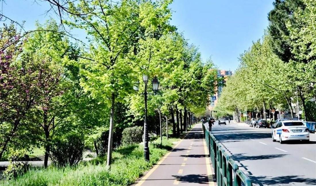 *AMBIENT KOMERCIAL PER QIRA , BLV B.CURRI*