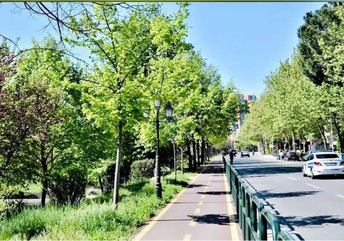 Ambient biznesi me qera 1+1 ne Tirane - 1,500 Euro