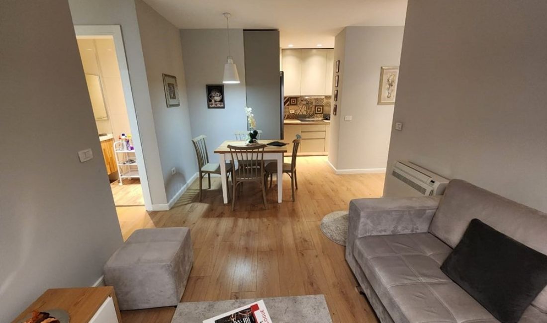 Apartment for rent in Tirana 1+1, Furnished
