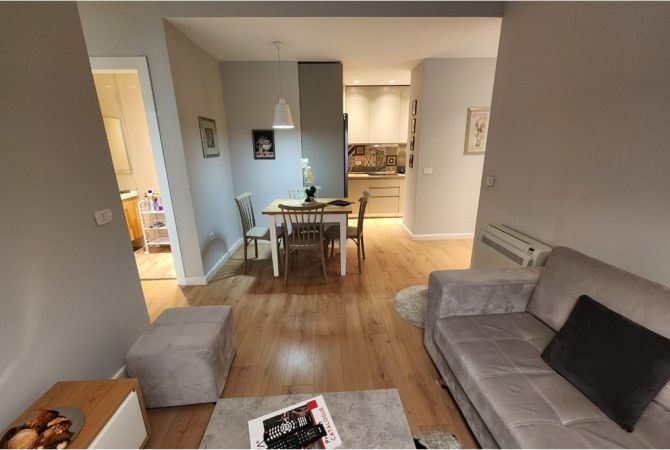 Apartament 1+1+post parkimi per qira tek Kompleksi Delijorgji