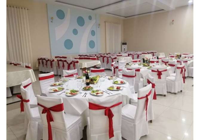 Holiday arrangements in Tirana - 0 