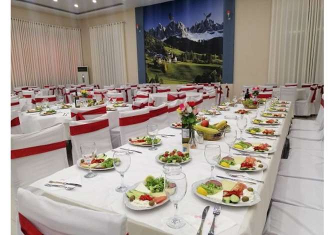 Holiday arrangements in Tirana - 0 